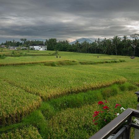 Ananditha Villa Ubud Ricefield Views Exterior foto